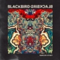 Tangerine Sky by Blackbird Blackbird