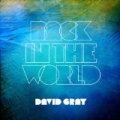 Back in The World by David Gray