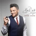 Big Night by Peter Andre
