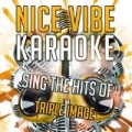 Sing the Hits of Triple Image (Karaoke Version) by Nice Vibe