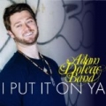 I Put It On Ya by Adam Doleac Band