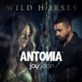 Wild Horses by Antonia feat. Jay Sean