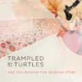 Are You Behind the Shining Star? by Trampled by Turtles