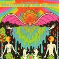 With A Little Help From My Fwends by The Flaming Lips
