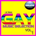 Gay Music Selection, Vol. 1 by Various artists