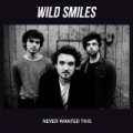 Never Wanted This by Wild Smiles