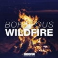 Wildfire by Borgeous