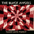 Clear Lake Forest by The Black Angels