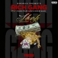 Lifestyle [Explicit] by Rich Gang