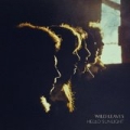 Hello Sunlight by Wild Leaves