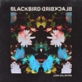 Love Unlimited by Blackbird Blackbird