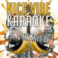 Sing the Hits of U2 (Karaoke Version) by Nice Vibe