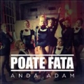 Poate Fata by Anda Adam