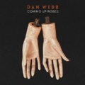 Coming Up Roses by Dan Webb