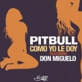 Como Yo Le Doy by Pitbull feat. Don Miguelo