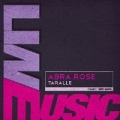 Taralle by Abra Rose