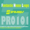 Fantastic House Loops by South Killah