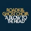 A Blow to the Head by Roadkill Ghost Choir