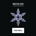 Wasted Love by Steve Angello feat. Dougy from The Temper Trap
