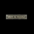Why Ya Wanna - Single (Jana Kramer Tribute) [Explicit] by Why You Wanna