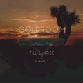 Till Sunrise (feat. Mammals) by GoldRoom