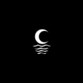 Dust by I Love You But I've Chosen Darkness