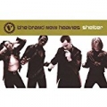 Shelter by The Brand New Heavies