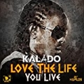 Love The Life You Live - Single by Kalado