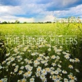 Daisies by The Henry Millers