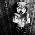 Calm Down [Explicit] by Lolawolf