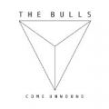 Come Unwound by The Bulls
