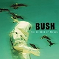 The Science Of Things (Remastered) by Bush