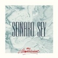 For Madeleine by Seinabo Sey