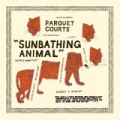 Sunbathing Animal + Content Nausea by Parquet Courts