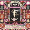 What A Terrible World, What A Beautiful World by The Decemberists