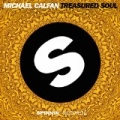 Treasured Soul by Michael Calfan