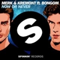 Now or Never by Merk & Kremont ft. Bongom