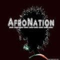 Afro Nation by Various artists