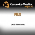 Feliz (Karaoke Version) [In The Style Of David Bustamante] by Karaokemedia