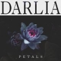 Petals by Darlia