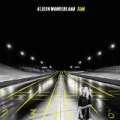 Run [Explicit] by Alison Wonderland