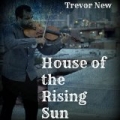 House of the Rising Sun by Trevor New
