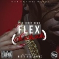 Flex (Ooh, Ooh, Ooh) - Single [Explicit] by Rich Homie Quan