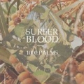 1000 Palms by Surfer Blood