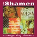 Strange Day Dreams by The Shamen