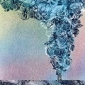 Carnation by Daughn Gibson