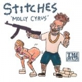 Molly Cyrus [Explicit] by The Stitches