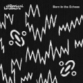 Born In The Echoes [Explicit] by The Chemical Brothers