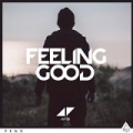 Feeling Good by Avicii