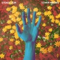 Lover Knows by Steady Sun
